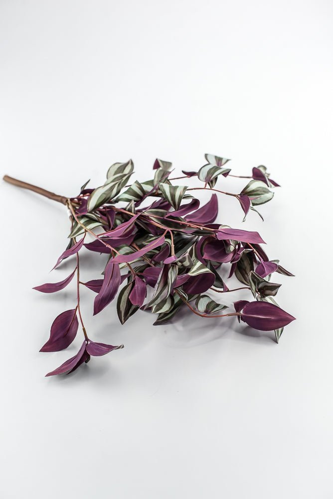 UV protected Tradescanthia Bush - Green - Greenery MarketMTF24534 PLGR