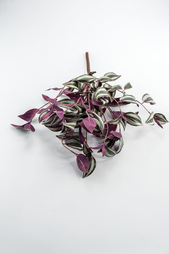 UV protected Tradescanthia Bush - Green - Greenery MarketMTF24534 PLGR