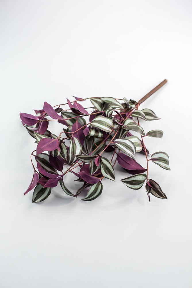 UV protected Tradescanthia Bush - Green - Greenery MarketMTF24534 PLGR