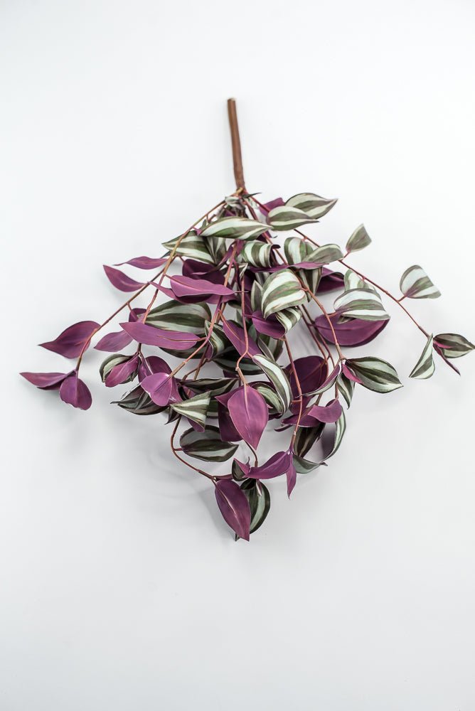 UV protected Tradescanthia Bush - Green - Greenery MarketMTF24534 PLGR