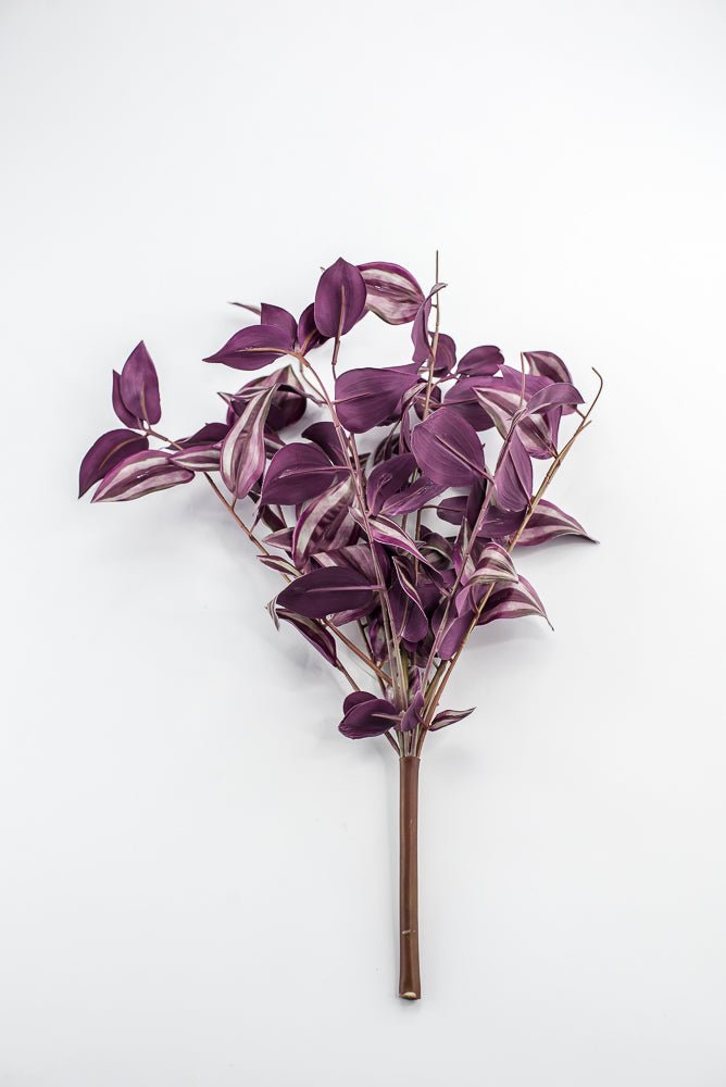 UV protected Tradescanthia Bush - Purple - Greenery MarketMTF24534 PUGR