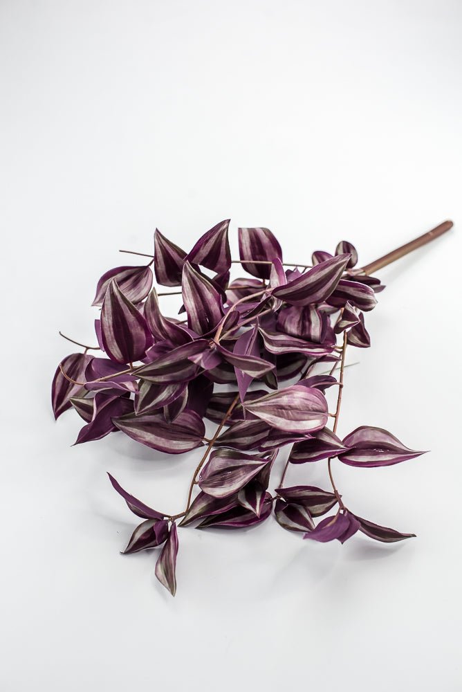 UV protected Tradescanthia Bush - Purple - Greenery MarketMTF24534 PUGR