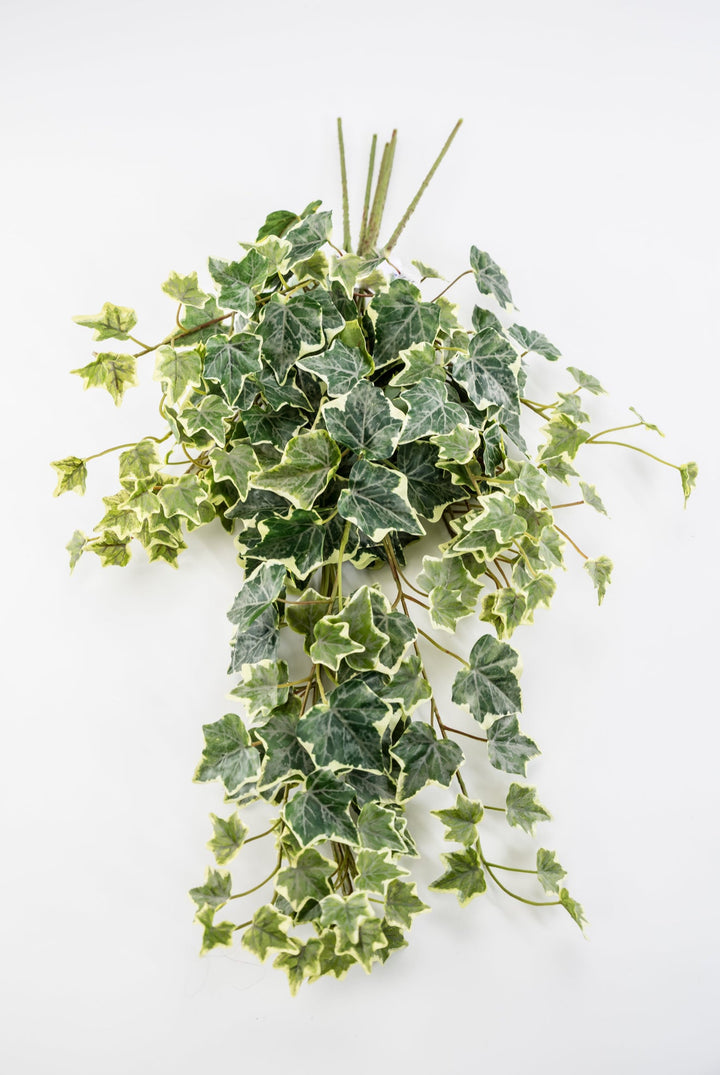 Variegated Green Ivy Spray x Bulk 6 Sprays - Greenery MarketMTF24582 VRGR x 6 sprays