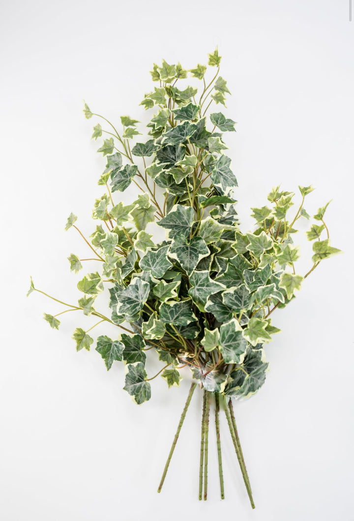 Variegated Green Ivy Spray x Bulk 6 Sprays - Greenery MarketMTF24582 VRGR x 6 sprays