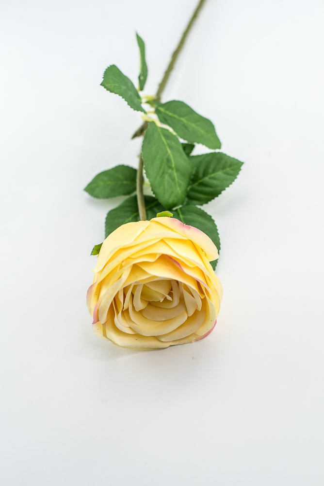 Vintage Rose Stem - Buttercream - Greenery MarketMTF24435 BUTT