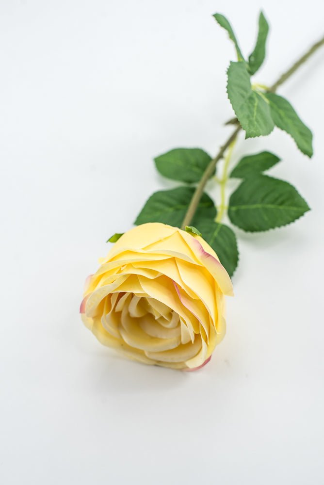 Vintage Rose Stem - Buttercream - Greenery MarketMTF24435 BUTT