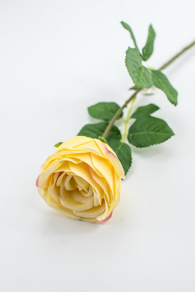 Vintage Rose Stem - Buttercream - Greenery MarketMTF24435 BUTT