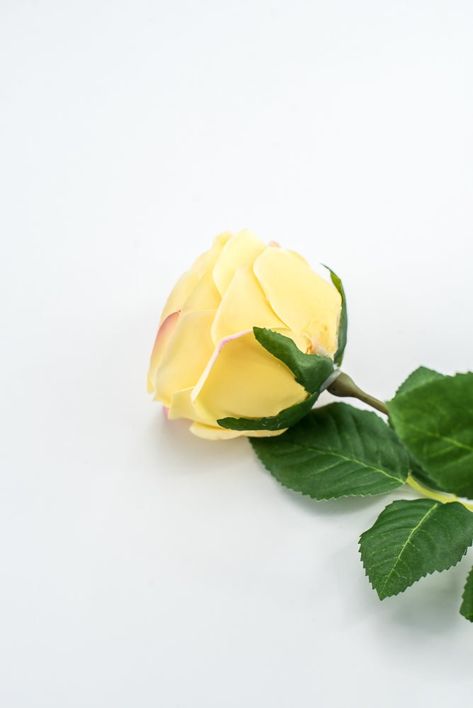 Vintage Rose Stem - Buttercream - Greenery MarketMTF24435 BUTT