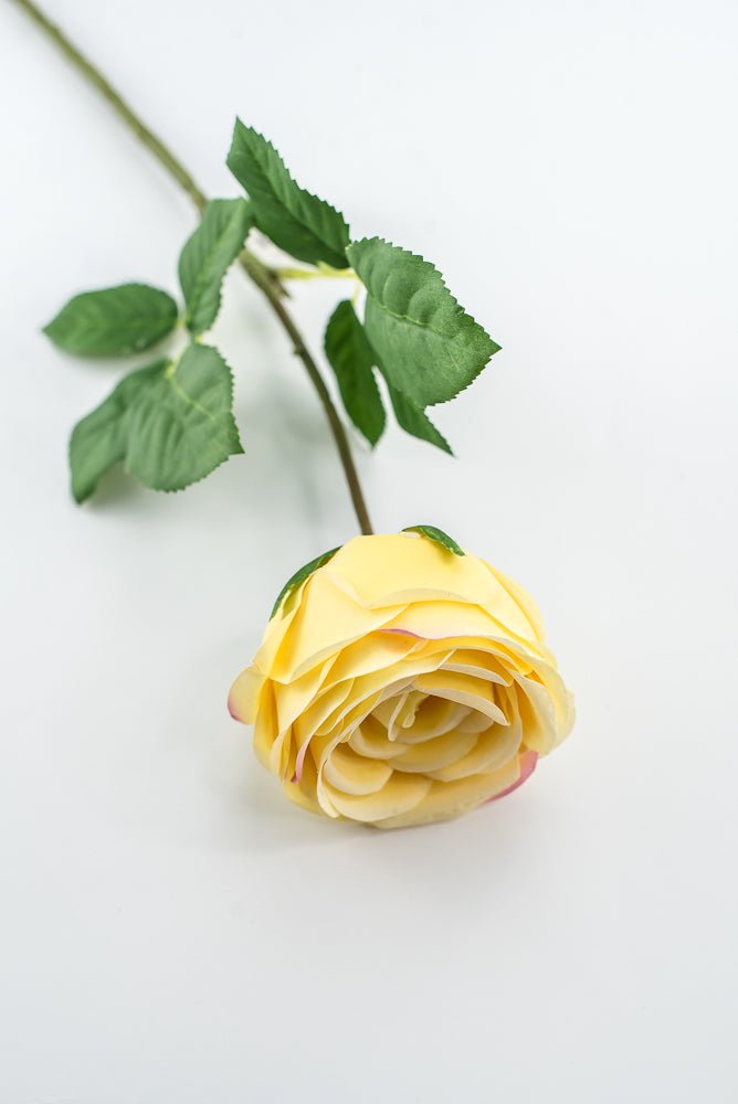 Vintage Rose Stem - Buttercream - Greenery MarketMTF24435 BUTT