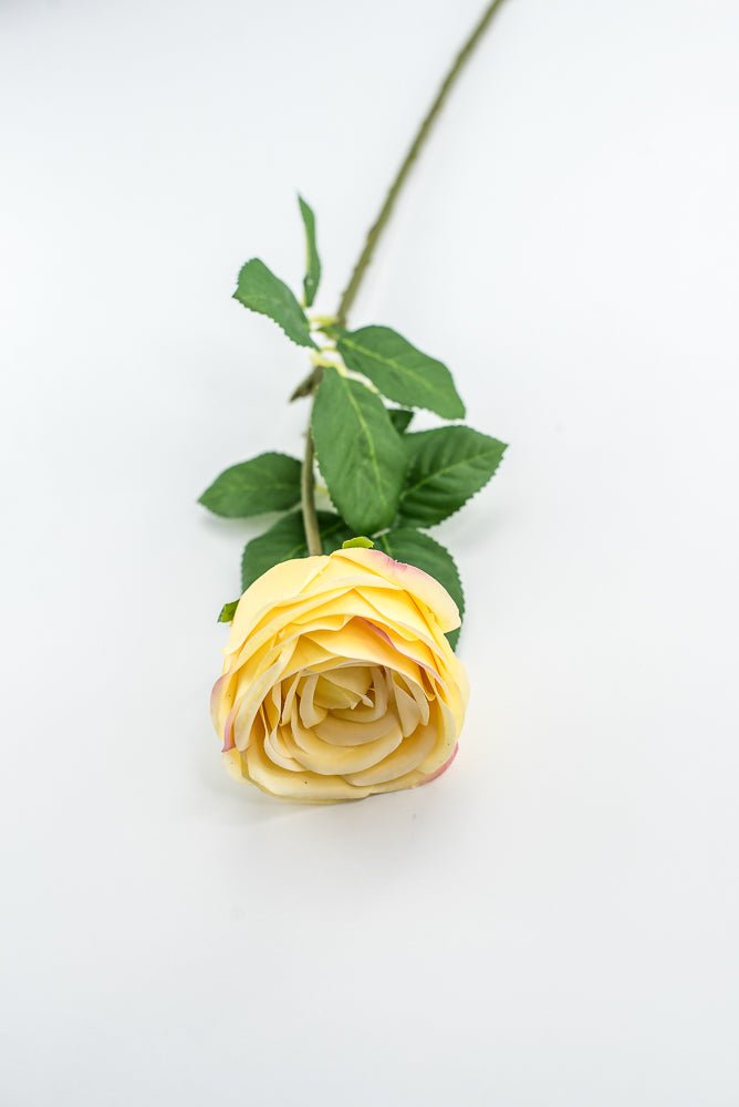 Vintage Rose Stem - Buttercream - Greenery MarketMTF24435 BUTT