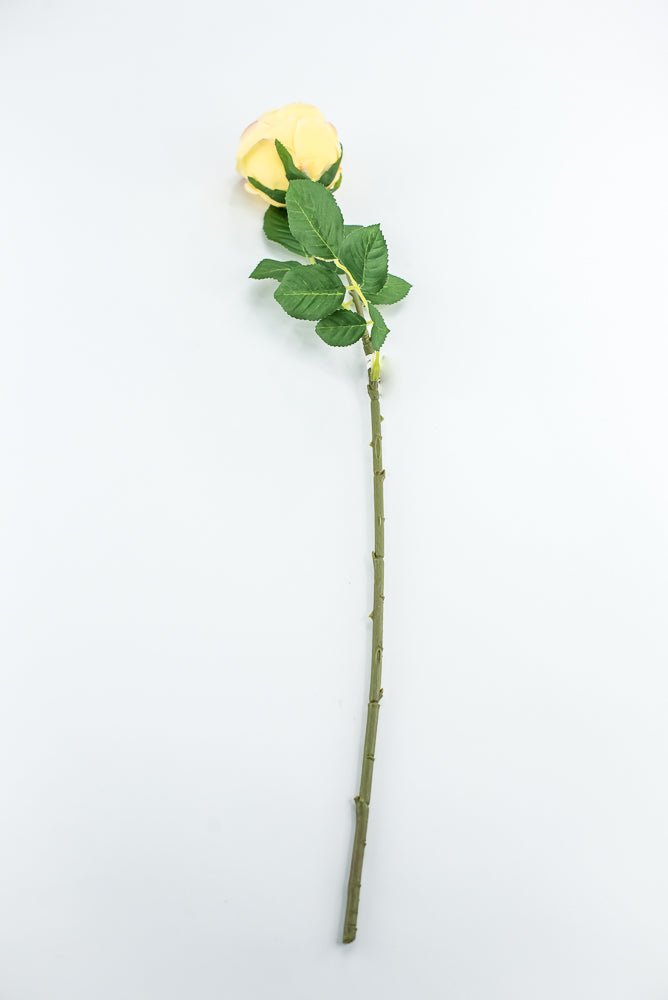 Vintage Rose Stem - Buttercream - Greenery MarketMTF24435 BUTT
