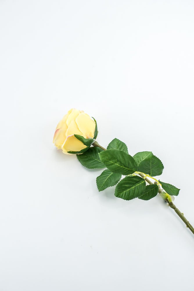 Vintage Rose Stem - Buttercream - Greenery MarketMTF24435 BUTT