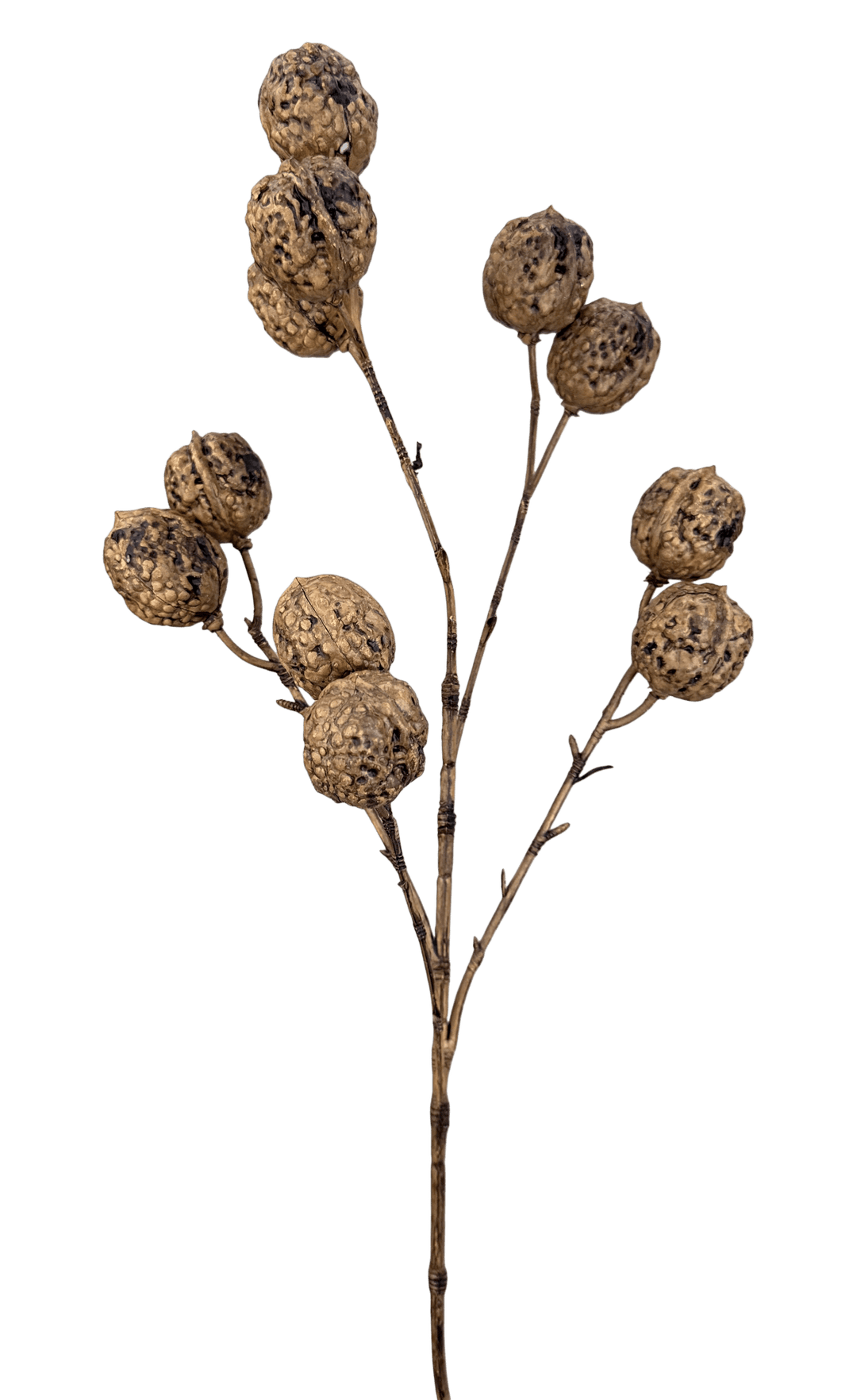 Walnut Spray - Greenery Market86389NAT