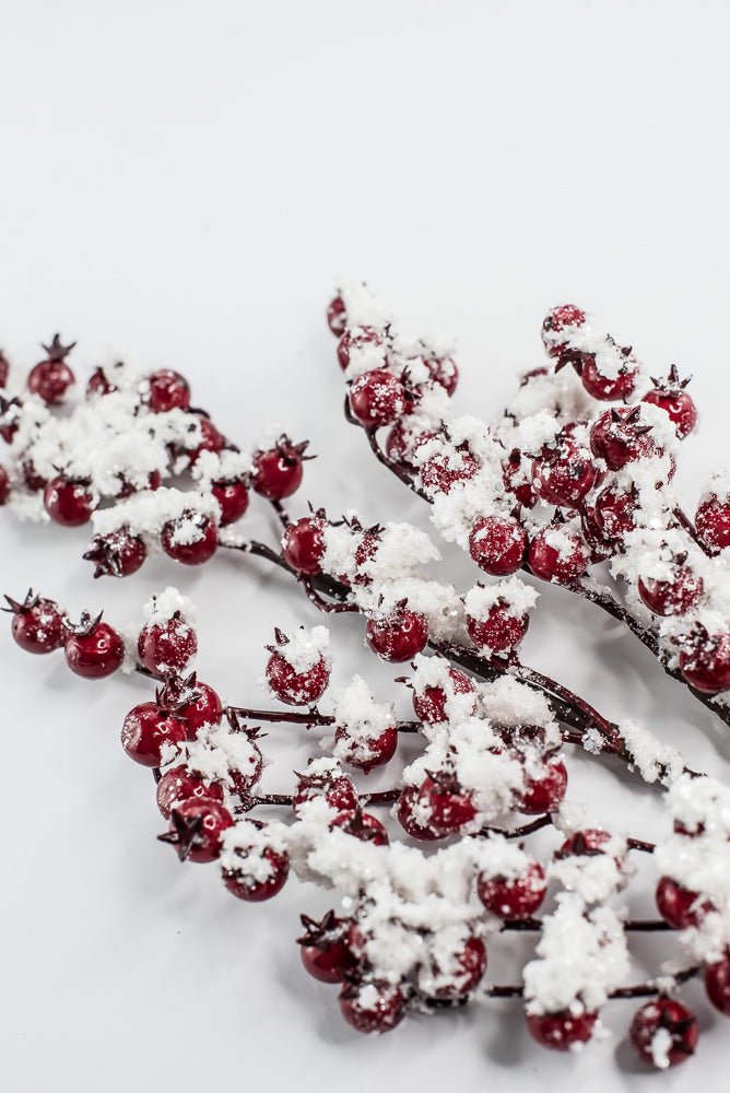 Weather Friendly red berries with snow - Greenery MarketBerriesXB444 - R