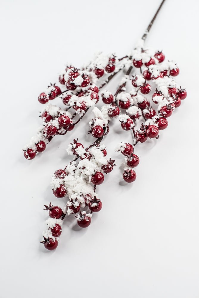 Weather Friendly red berries with snow - Greenery MarketBerriesXB444 - R