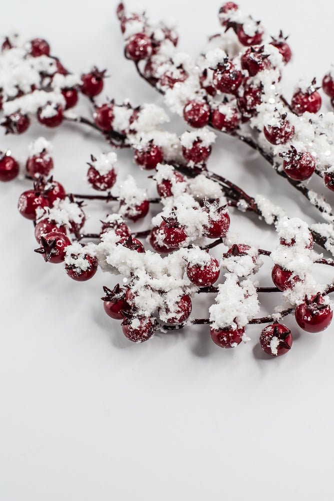 Weather Friendly red berries with snow - Greenery MarketBerriesXB444 - R