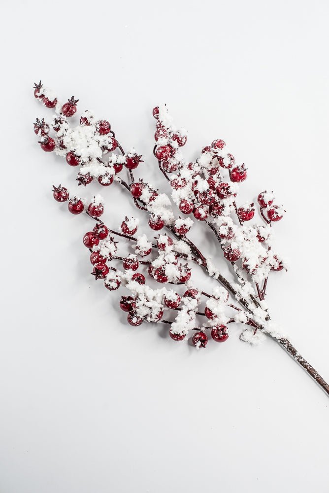 Weather Friendly red berries with snow - Greenery MarketBerriesXB444 - R