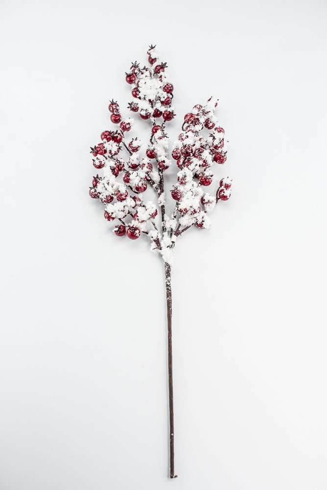 Weather Friendly red berries with snow - Greenery MarketBerriesXB444 - R