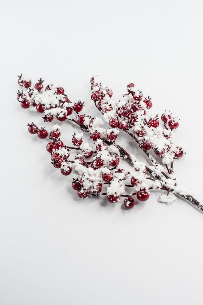 Weather Friendly red berries with snow - Greenery MarketBerriesXB444 - R
