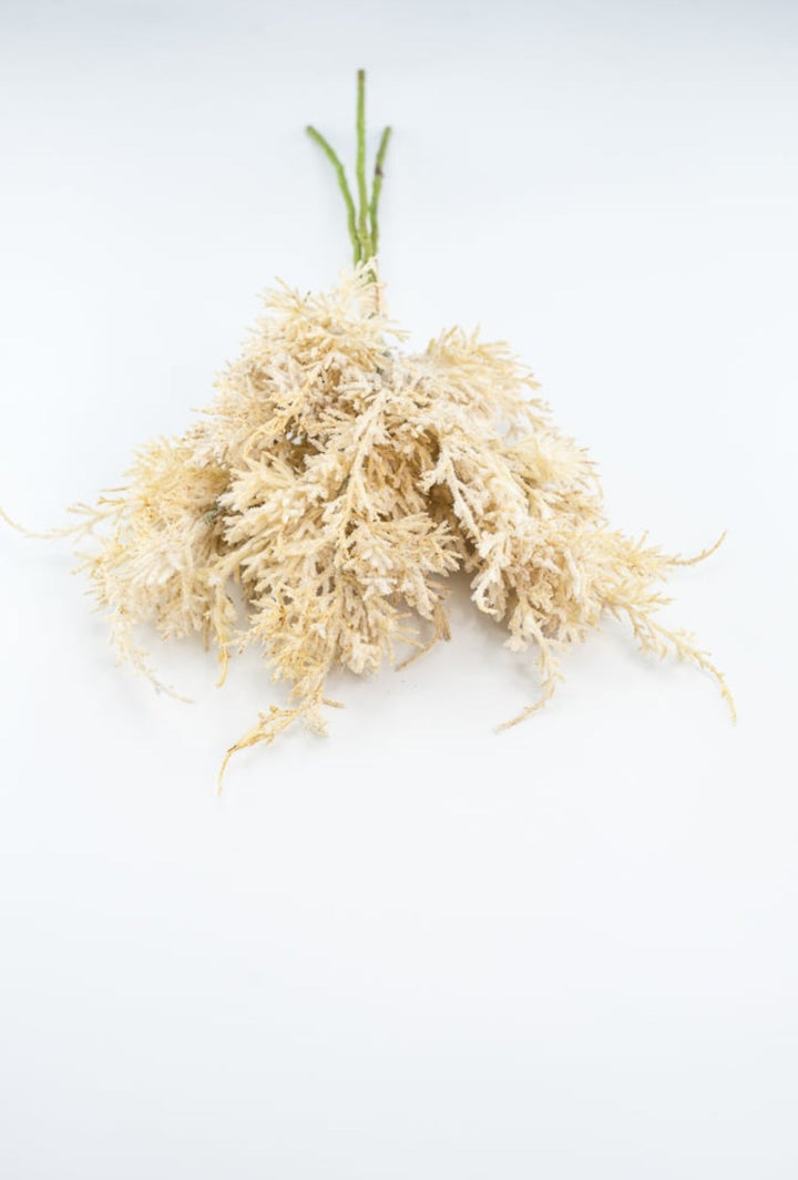 Wheat Grass Bundle - Cream - Greenery Market27880