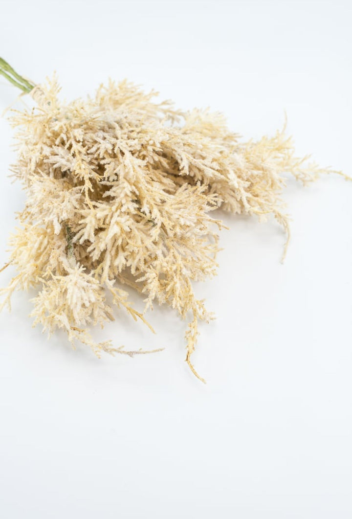 Wheat Grass Bundle - Cream - Greenery Market27880