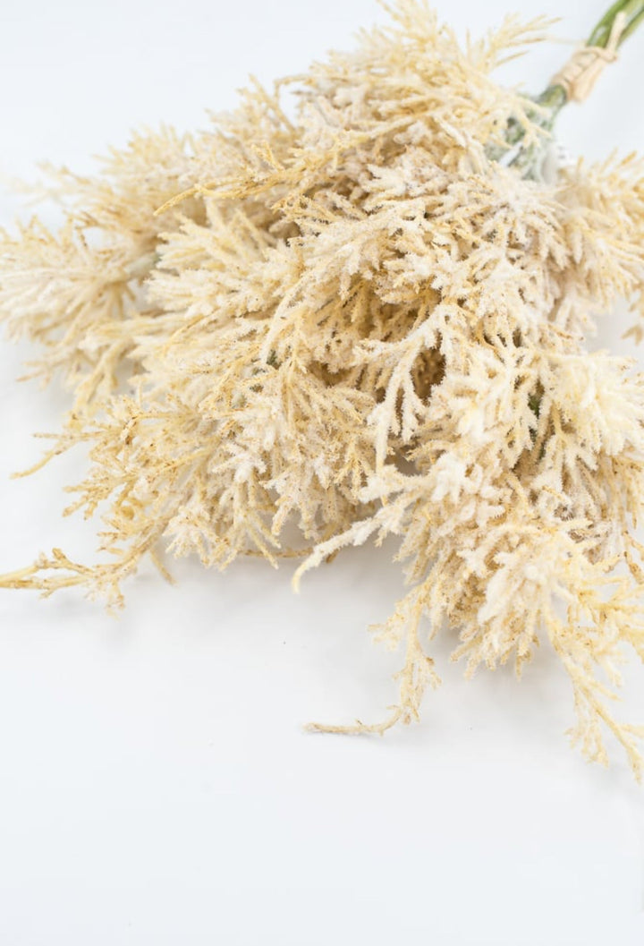 Wheat Grass Bundle - Cream - Greenery Market27880