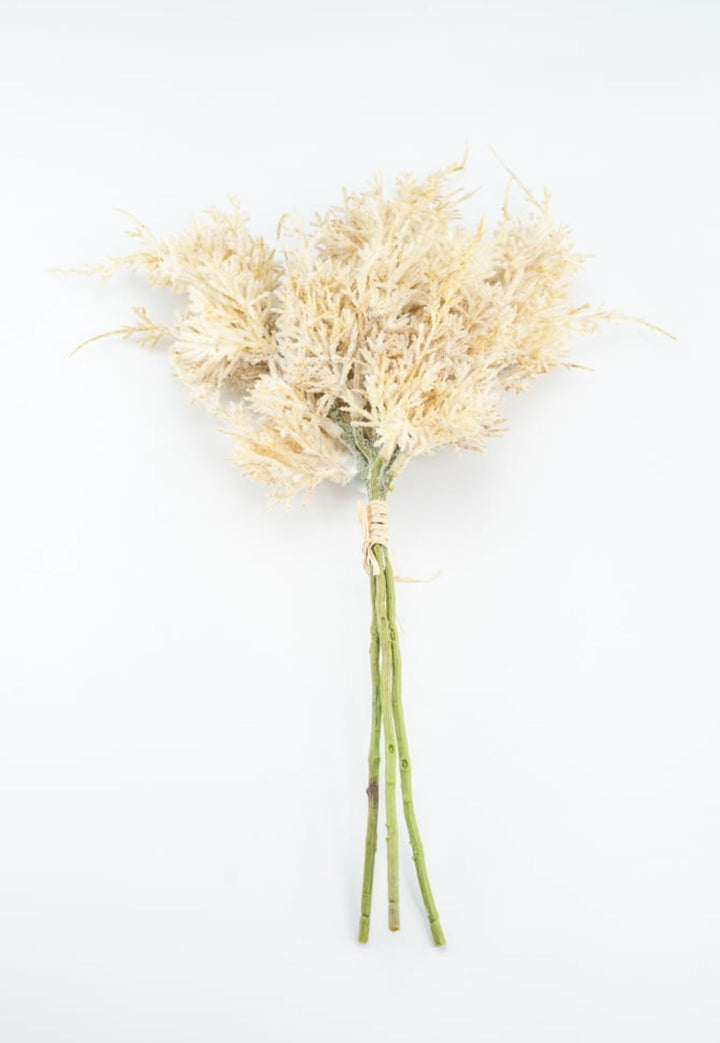 Wheat Grass Bundle - Cream - Greenery Market27880
