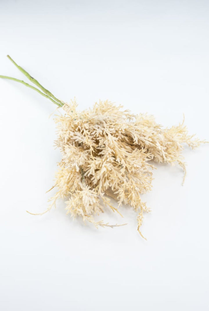 Wheat Grass Bundle - Cream - Greenery Market27880