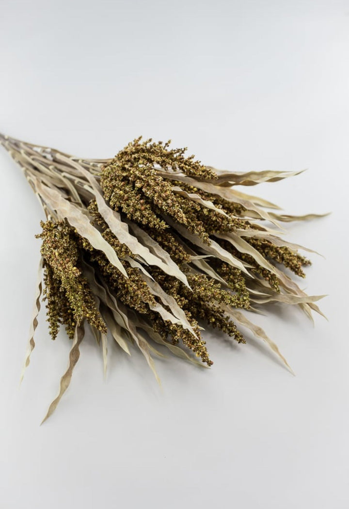 wheat grass bush - gold cream - Greenery MarketArtificial Flora26472