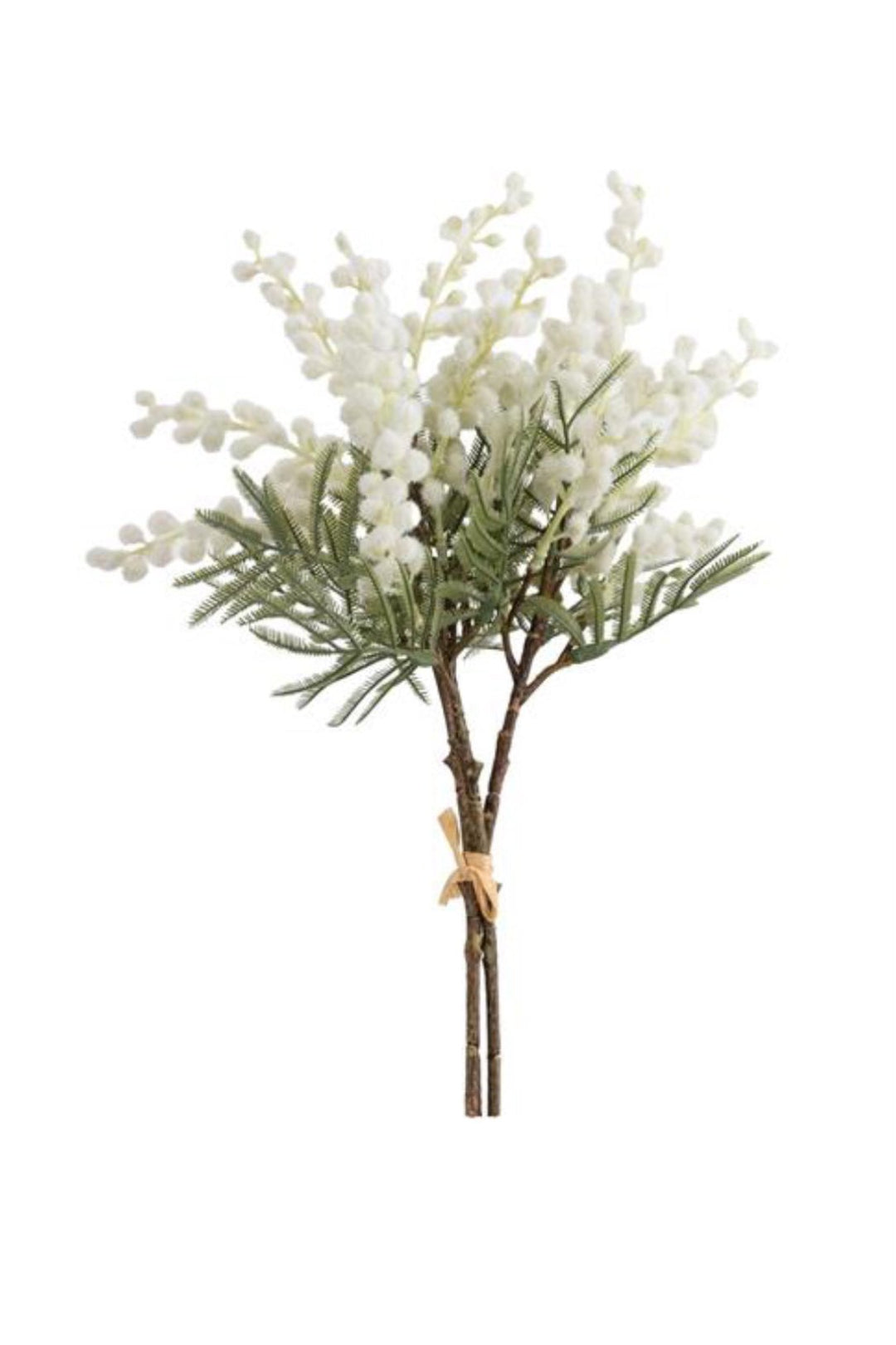 White Mimosa Bundle - 15" - Greenery Market6470W