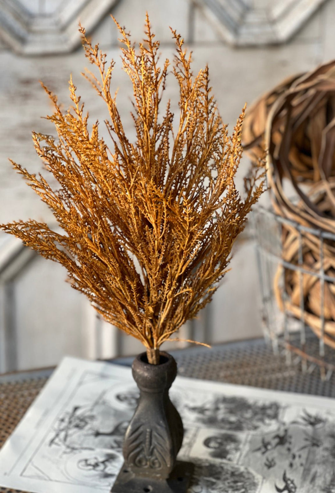 Wild wheat bush - rusty - Greenery MarketgreeneryXVP4370