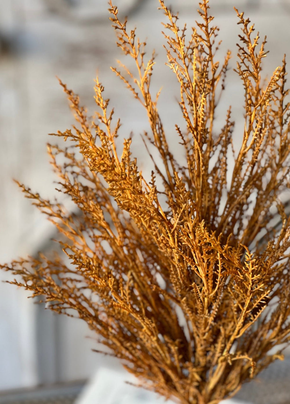 Wild wheat bush - rusty - Greenery MarketgreeneryXVP4370