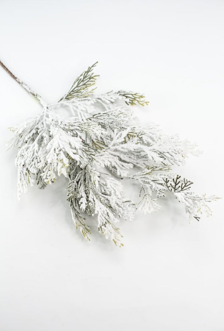 Winter cedar pine spray with snow - Greenery Marketgreenery85336SP24