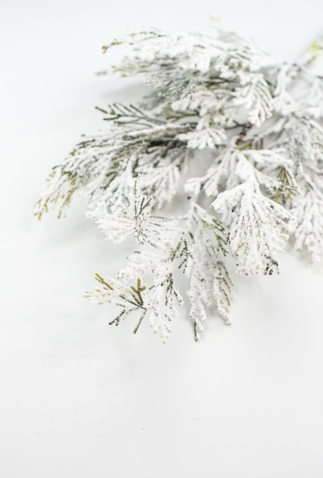 Winter cedar pine spray with snow - Greenery Marketgreenery85336SP24