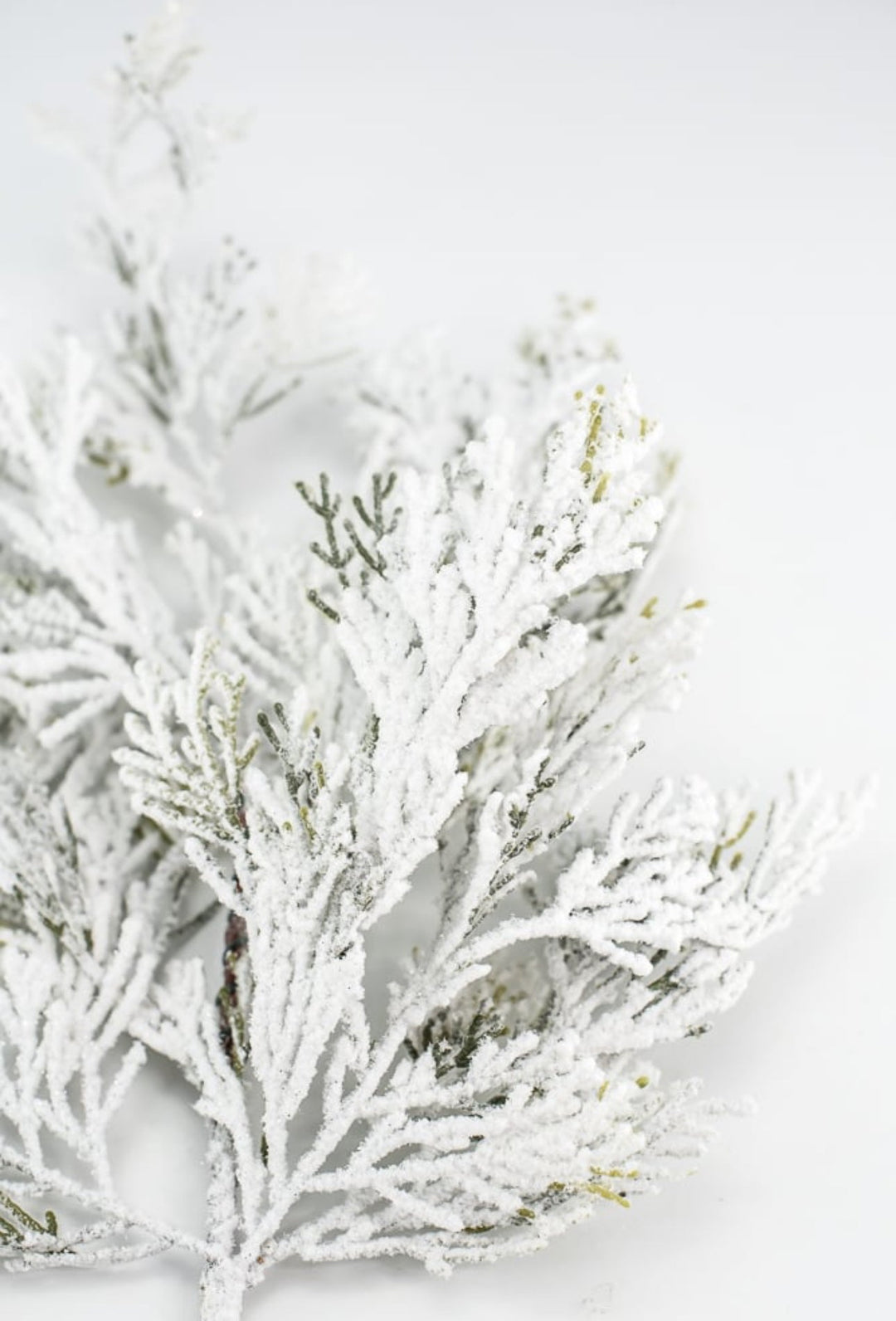 Winter cedar pine spray with snow - Greenery Marketgreenery85336SP24