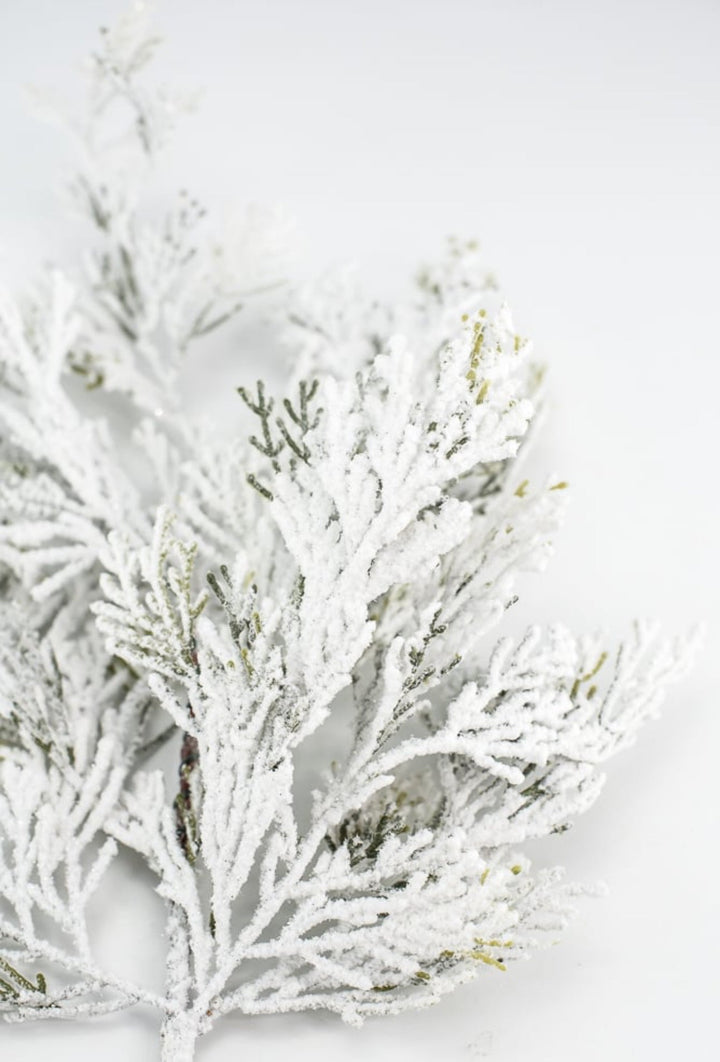 Winter cedar pine spray with snow - Greenery Marketgreenery85336SP24