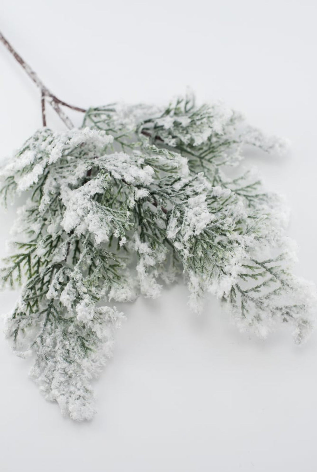 Winter cedar spray with snow - Greenery MarketX1761 - W