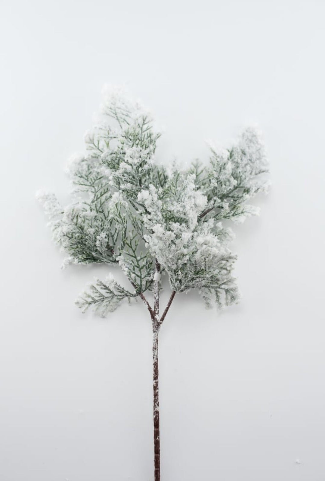 Winter cedar spray with snow - Greenery MarketX1761 - W