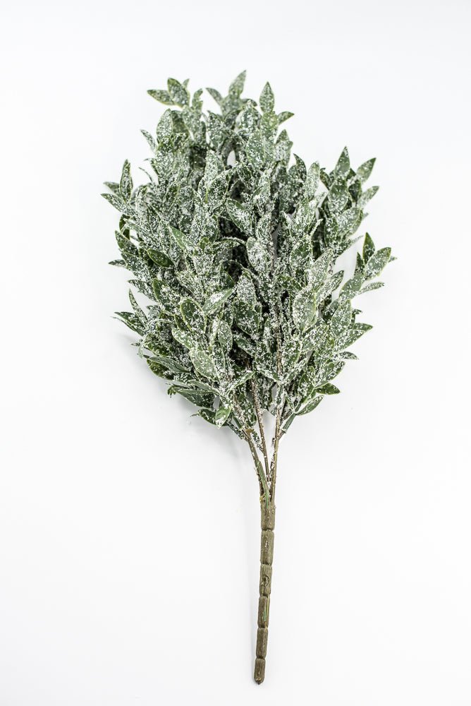 Winter Ruscus Bush - Greenery Market85254
