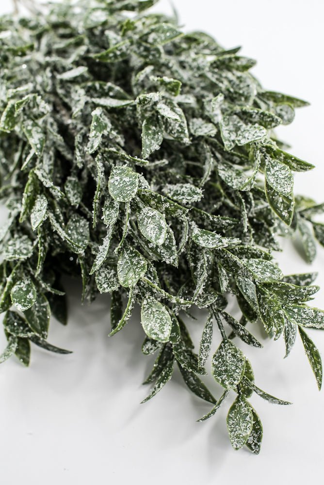 Winter Ruscus Bush - Greenery Market85254