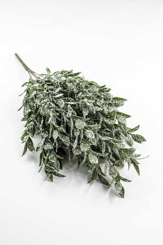 Winter Ruscus Bush - Greenery Market85254