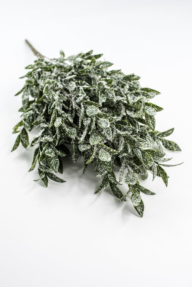 Winter Ruscus Bush - Greenery Market85254