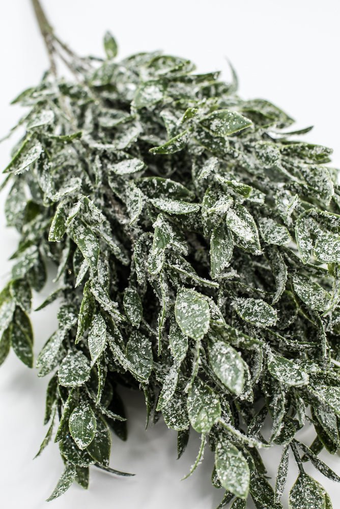 Winter Ruscus Bush - Greenery Market85254