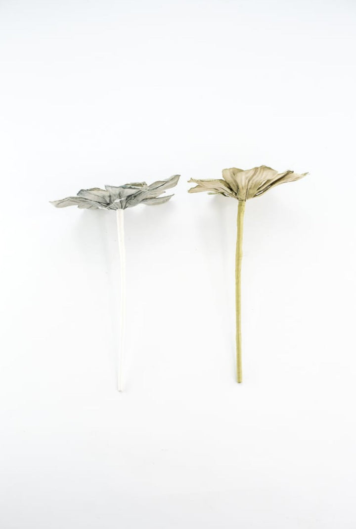 Winter velvet succulents - set of 2 - Greenery MarketMTX72764 set of 2