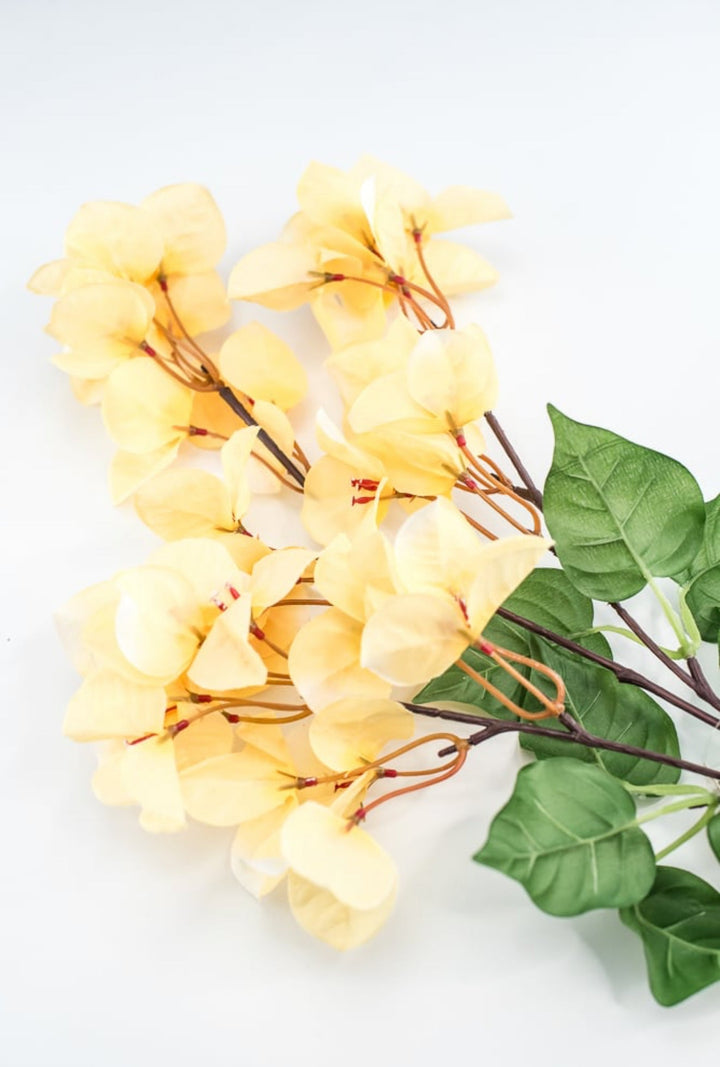 Yellow Bougainvillea Spray - Greenery Market250709
