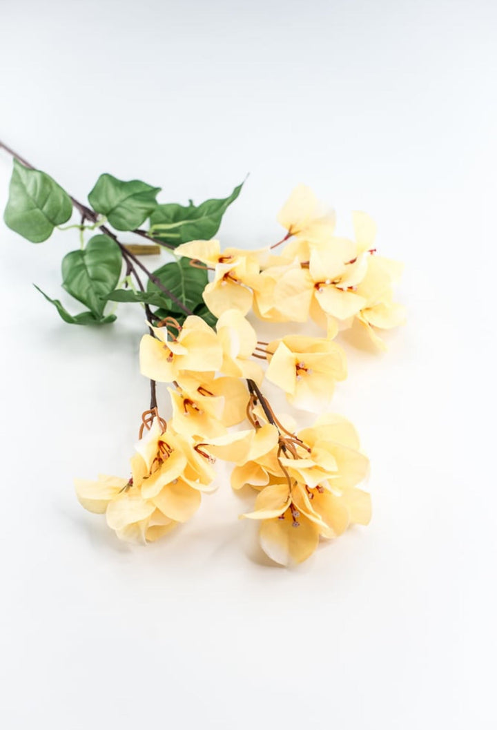 Yellow Bougainvillea Spray - Greenery Market250709