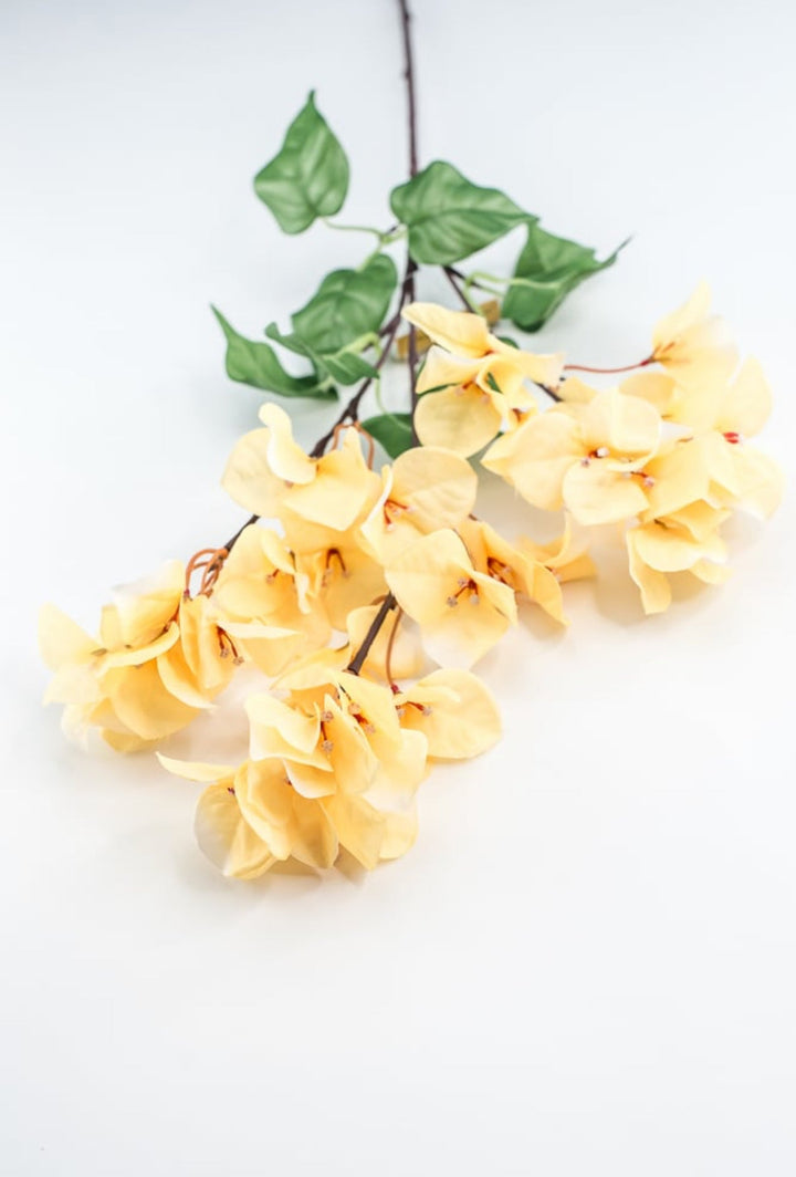 Yellow Bougainvillea Spray - Greenery Market250709