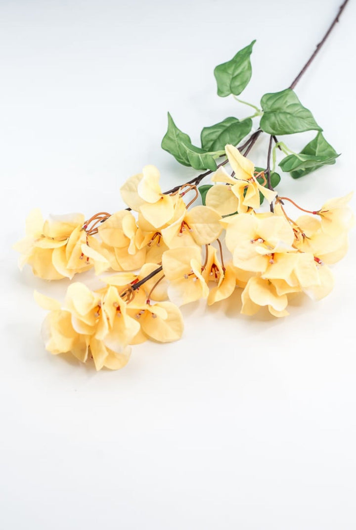 Yellow Bougainvillea Spray - Greenery Market250709