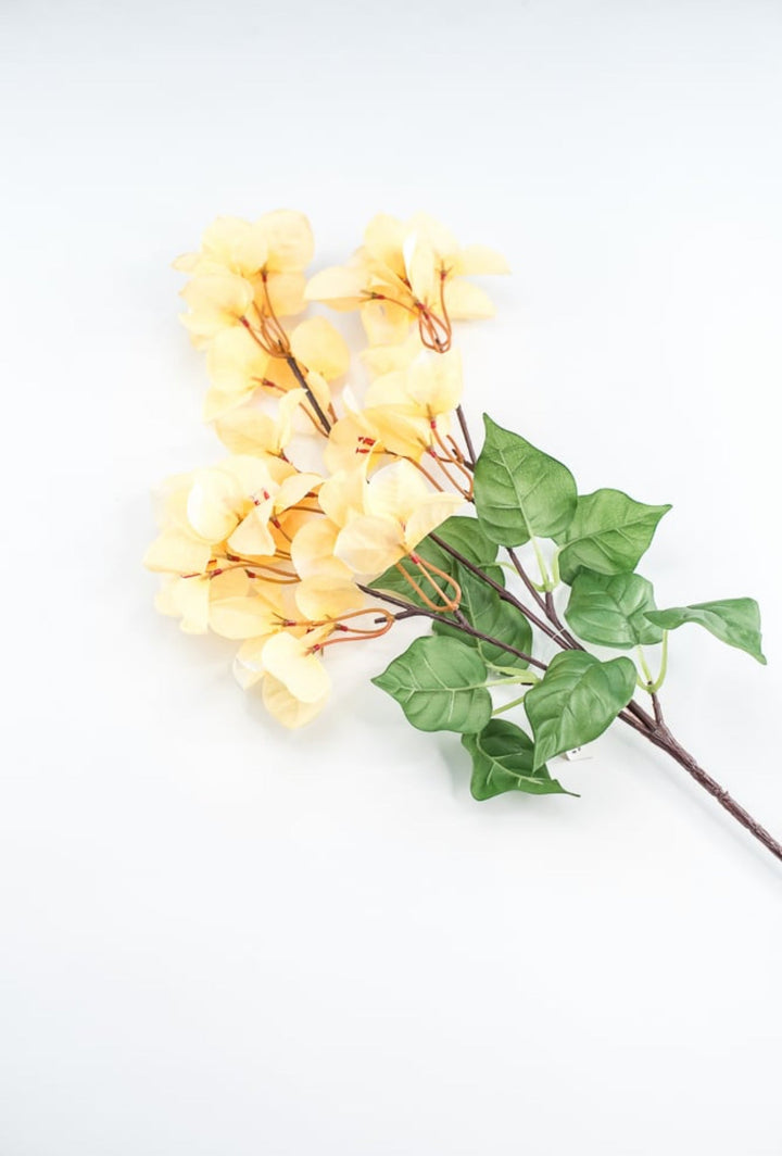 Yellow Bougainvillea Spray - Greenery Market250709