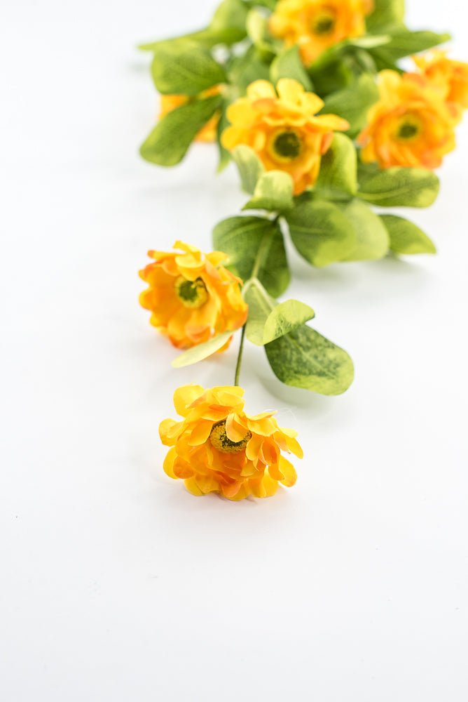 Yellow Button Zinnia Spray - Greenery MarketMTF24321 YELL